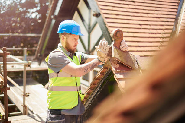 Best Roof Gutter Cleaning  in Whitesboro, TX